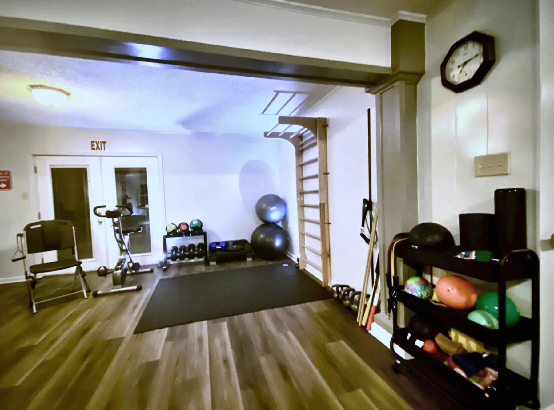 Exercise area with wall bars, balls, and weights